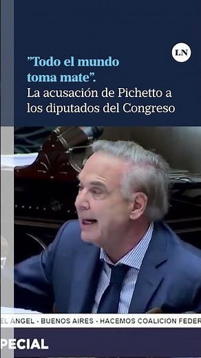 La acusación de Pichetto a los diputados del Congreso: "Todo el mundo toma mate"