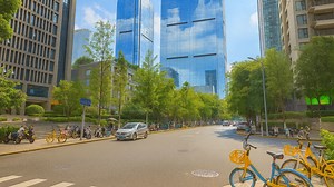 Where modern towers meet tree-lined streets