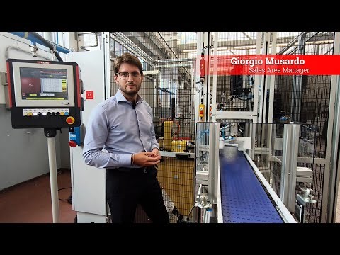 CEMB Single-Station Machine for Pulleys | Precision & Efficiency