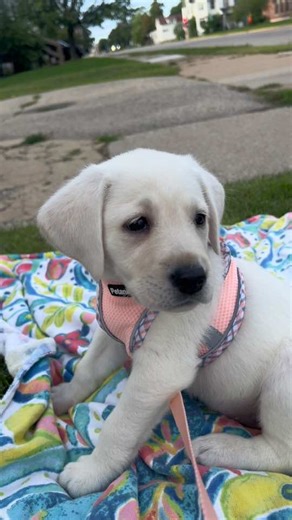 had (@haddie_enderby)’s videos with original sound - had