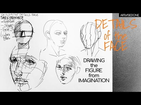 Drawing The Figure From Imagination Details Of The Face