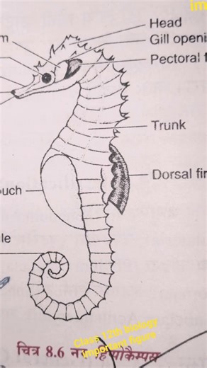 class 12th ke liye project figure most important