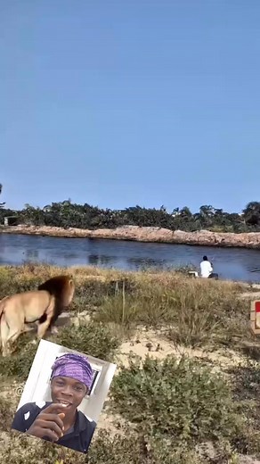 Funny skit 🤣 #funny | IG comedian