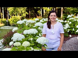 Epic June Garden Tour