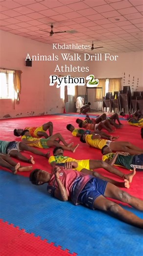 Runner | Animals Walk ✅Improved Full Body Strength ✅Improved Flexibility & Mobility ✅Improved Core Stability & Balance ✅Improved Coordination... | Instagram