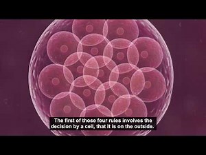 5 Days - Computer Modelling to Simulate Early Development