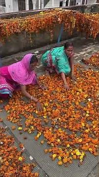 What's REALLY in Your Incense Sticks? (Bharat Factory)