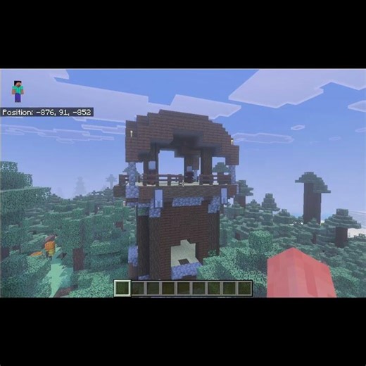 What is the Rarest Structures in Each Main Biomes in Minecraft
