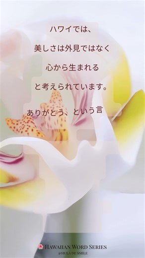 【ハワイ語ひとこと #15】🌈Hoʻonani（ホオナニ）