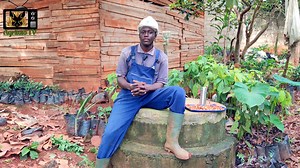 Connais tu le safran ? #agriculture #farming #entrepreneur | Agrituto TV