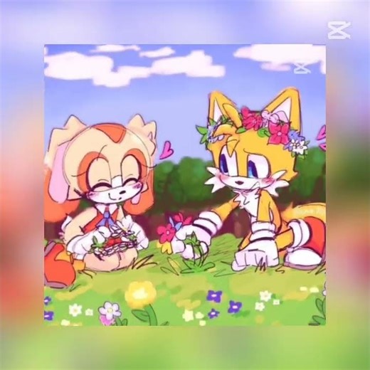 💙Sonadow🖤♡💚Mephilver🤍♡💚Manourge💚♡❤️Rookinite🖤♡💜Blazamy🩷♡❤️Knuxouge💖♡💛Taiream🧡♡ #sonic #capcut #short