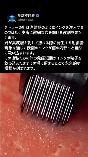 1分間に3000回振動するタトゥーマシン、消えないタトゥーの本当の秘密