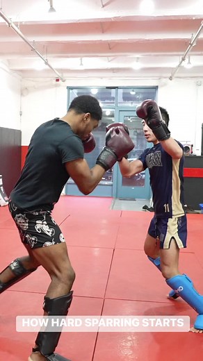 How hard sparring starts! Full video breakdown coming soon! | MMAShredded