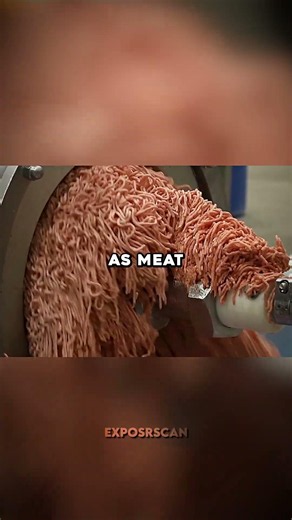 Your Subway Steak Has 18 Ingredients 🥩