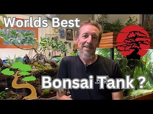 Worlds Best Bonsai Tank ?
