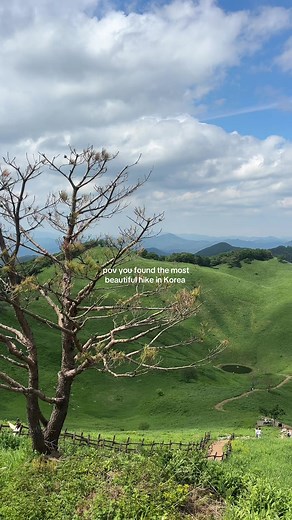 Discovering Mindungsan: A Gorgeous Hike in Korea