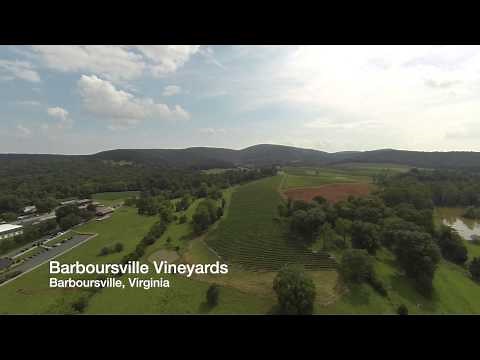 Aerial video tour of Charlottesville, VA and UVA