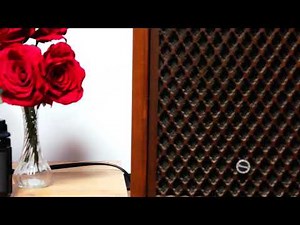 サンスイ レトロスピーカー ｓｐ100