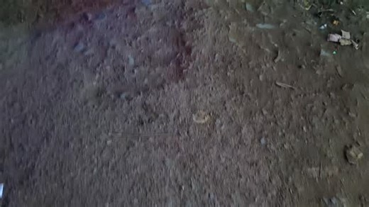 2.7K views · 57 reactions | 52 number Ka Kali Puja part ~ 3 | Bittu King | Facebook