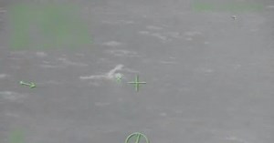 Coast Guard diver on saving overboard cruise passenger