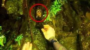 2.6M views · 43K reactions | Crazy finds of 2025!  | D ALL MY D | Facebook