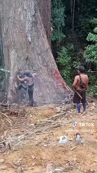 MISTERIUS1945 (@misteri_us1945)’s videos with Originalton - $PHARAOH — Official Coin