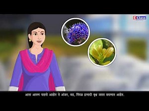 Standard 10, Marathi Medium, Geography Chapter 01 क्षेत्रभेट, Maharashtra Board (updated syllabus)