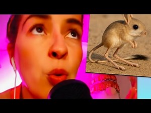 ASMR anticipatory~ vocal fry ~ play words ~ humming ~ light triggers