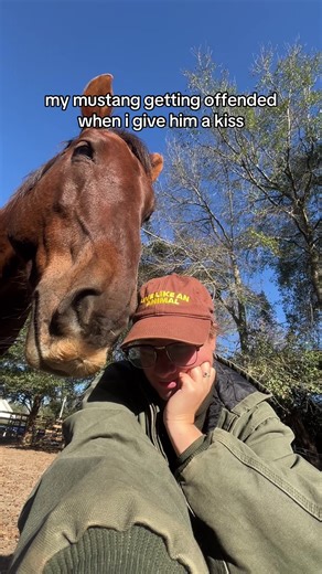 Understanding Mustang Behavior: Why Do They Get Offended?