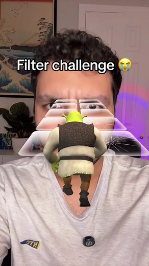 Filter challenge is so hard 😭 #filterchallenge #filter #filters #game