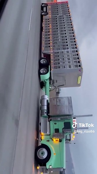 Big_Rizo86 (@big_rizo86)’s videos with Lord Pretty Flacko Jodye 2 (LPFJ2) - A$AP Rocky