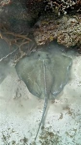 10K views · 855 reactions | One of my favorite things to see...