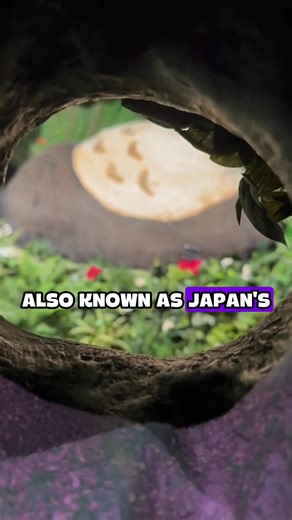 ‏Meet Japan’s CUTEST Animal! ☺️🇯🇵 #japan #japantiktok #fyp