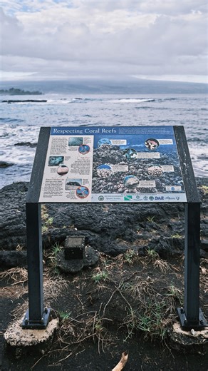 James on Instagram: "Did you know? Hilo’s black sand beaches are shaped by volcanic activity, creating dramatic shorelines you won’t find just anywhere. One local favorite is Richardson Ocean Park, where the dark sand meets clear waters—and lucky visitors often spot honu (Hawaiian green sea turtles) resting nearby. Please admire from a distance and help protect this special place. Location: Richardson Ocean Park, Hilo, Island of Hawai'i Credit: Hawaii Tourism Authority (HTA) / Ben Ono #HiloHawai