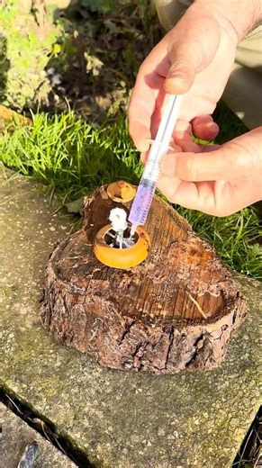 Survival Skills: Compact Wooden Fire Pot – perfect for bushcraft cooking” #survival#camping