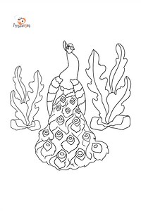 A Peacock Coloring Page ♥ Online and Print for Free!