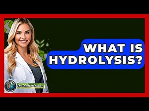What Is Hydrolysis? - Earth Science Answers