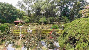 Nakshatra Van: Ranchi’s Garden Where Astrology Meets Botany And Spirituality