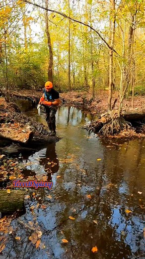 Beaver Dam Removal! || Hmm...Can We Get This Tree Cut!? #beaverdamremoval #mbd2 #beaverdam #beavers #drain #water #terrellspivey #fypシ゚ #foryoupageシ #foryou #viralvideo #viralFBvideo #FBVIDEO #fb #viralfb #viralreelsシ #fbreels | Terrell Spivey