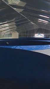 🌊 Indoor Biofloc Shrimp Farming: Chengdu, China | Exploring a Revolutionary Shrimp Farming System 🦐 We recently had the incredible opportunity to visit an innovative indoor biofloc shrimp farming project in Chengdu, China. This cutting-edge facility demonstrates how aquaculture is evolving to meet the challenges of inland farming while maintaining sustainable practices. #Aquaculture #Biofloc #SustainableFarming #AquacultureLife #ShrimpFarming #FishFarming #BioflocTechnology #AquacultureTips #R