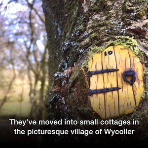 33K views · 203 reactions | 栗‍♀️✨Have you spotted Lancashire's newest magical residents yet? ✨栗‍♂️ | BBC Lancashire | Facebook