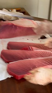 Beef or Tuna? The Ultimate Meat Mystery – Can You Guess? #wagyu #otoro #sushi #sashimi | Food Adventure