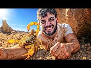 Stung by DESERT SCORPION!!! Worst Stings #7