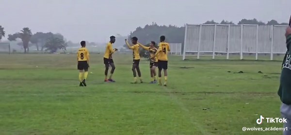 Wolves Academy on TikTok