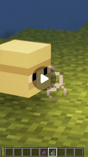 ArtiCraft on Instagram: "Minecraft facts you didn't know 🤫 // #minecraft #minecrafttips #minecrafttutorial #minecraftfacts #minecraftmemeshacks #minecraftbuildingideas #minecraftbuildings"