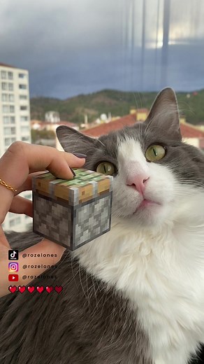 Painting Every Block from Minecraft PT17