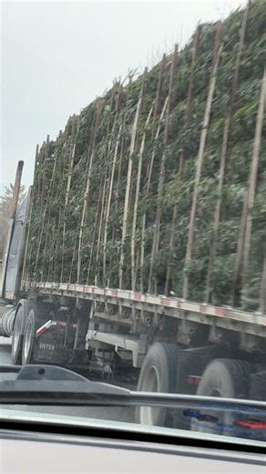 On our last trip to Whelen Engineering Company, Inc. New Hampshire plant we followed a couple of these #ChristmasTree trucks back to Connecticut. Find out what we were doing in Charlestown and what new things I learned in my next posts. Pretty cool stuff! Are you ready for the holidays? Do you have your tree already? | Tina Detelj