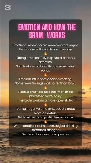 Emotion And How The Brain Works