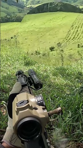 Java Bolt, o porco corredor, nem bala alcança... #556 #cachorro #controledejavali #t4 #c #caçador