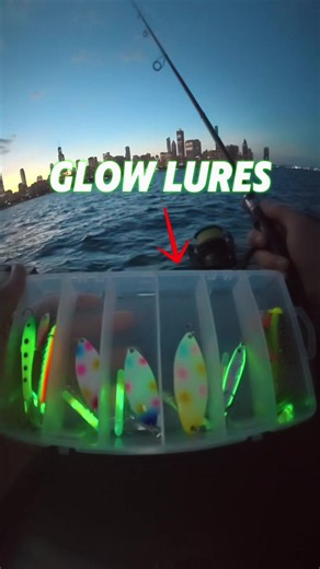 Salmon Fishing Chicago With Only Glow In The Dark Lures. #fishing #salmonfishing #chicagofishing #fishingvideos #summerwithfishbrain26 @Fishbrain